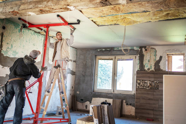 Best Insulation Maintenance and Repair in Sullivan, IL
